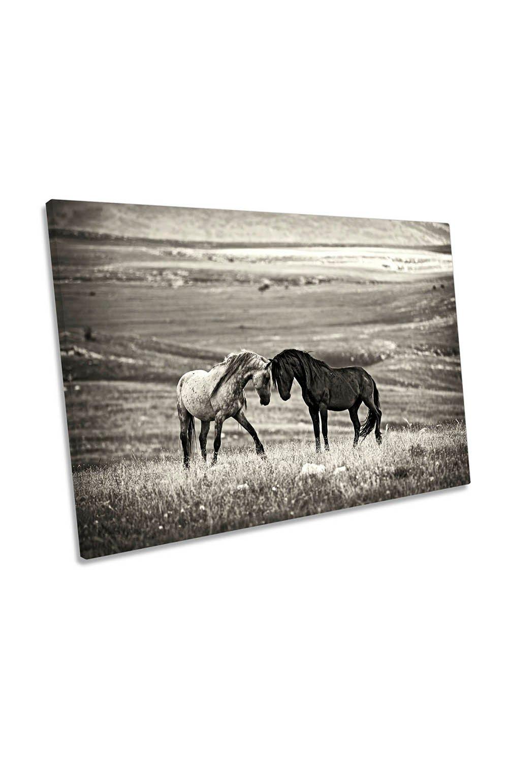 Close Encounter Horses Grey Canvas Wall Art Picture Print