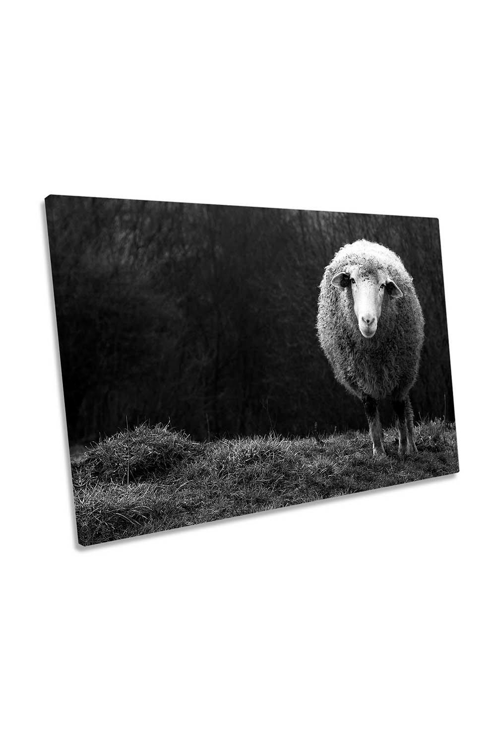 Wondering Sheep Farm Canvas Wall Art Picture Print