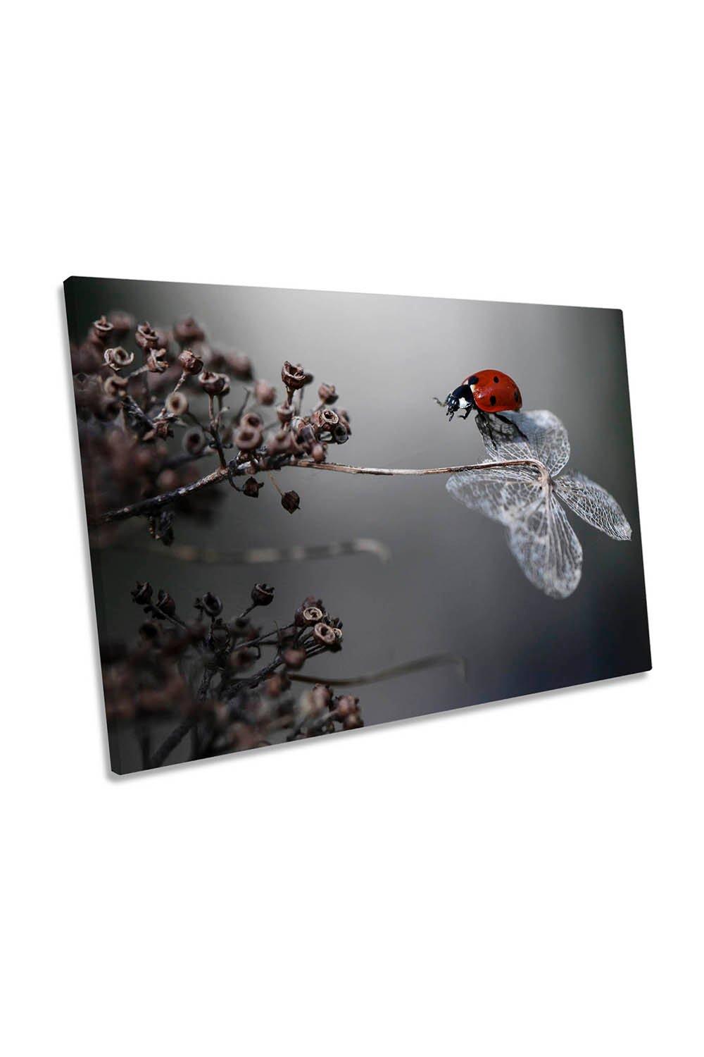 Ladybird on Hydrangea Floral Canvas Wall Art Picture Print