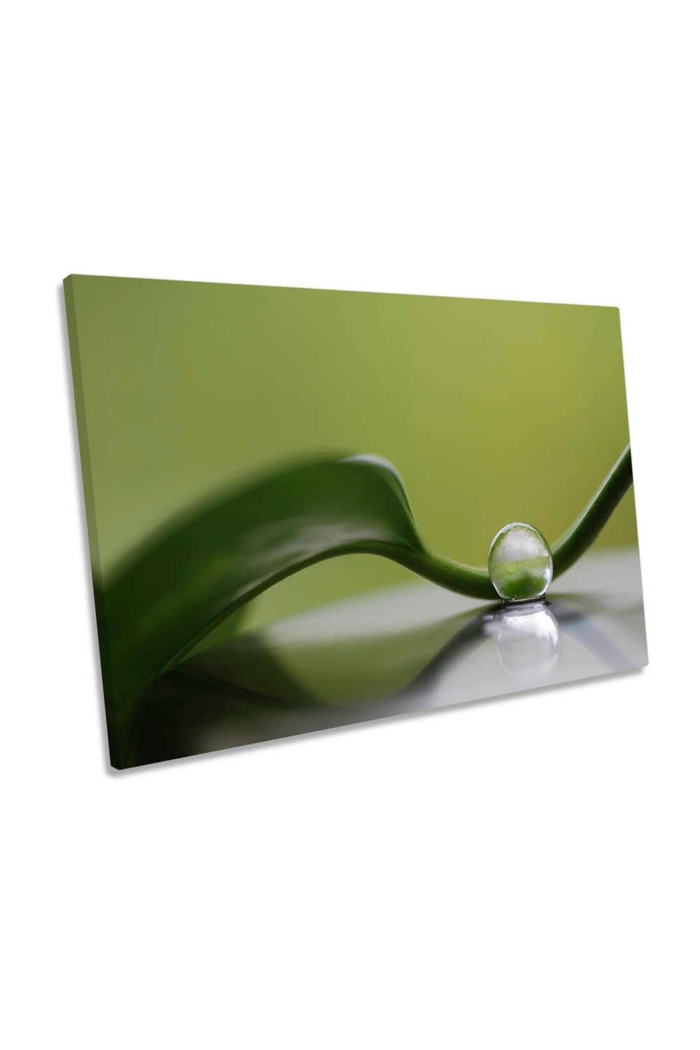 Green Harmony Leaf Pearl Canvas Wall Art Picture Print