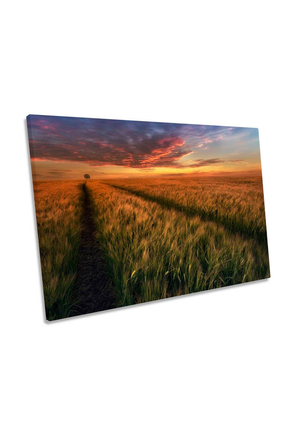 Somewhere at Sunset Countryside Canvas Wall Art Picture Print