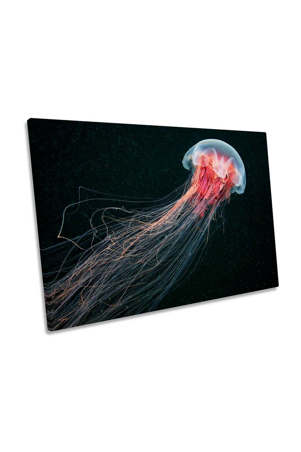 Longtail Jellyfish Low Key Canvas Wall Art Picture Print