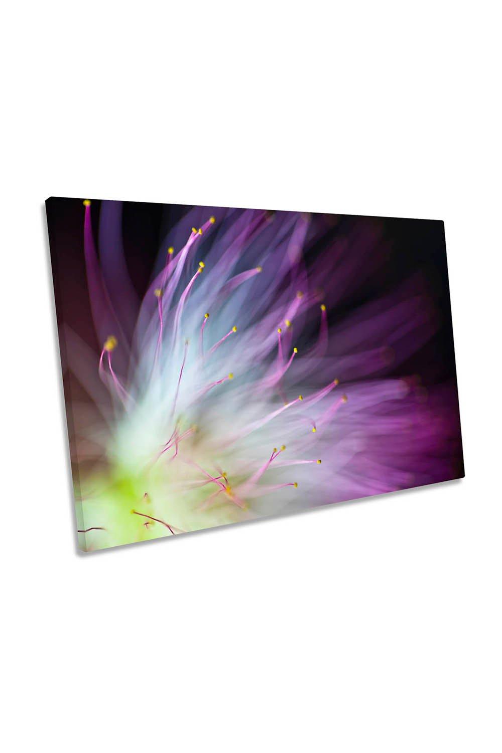 The Will O the Wisp Flower Floral Canvas Wall Art Picture Print