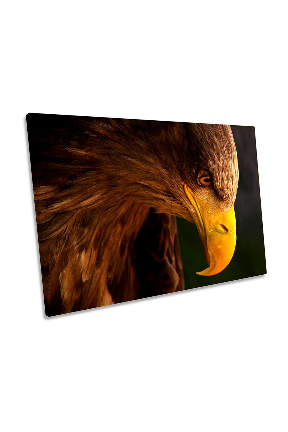 Eagle Wildlife Bird Animal Canvas Wall Art Picture Print