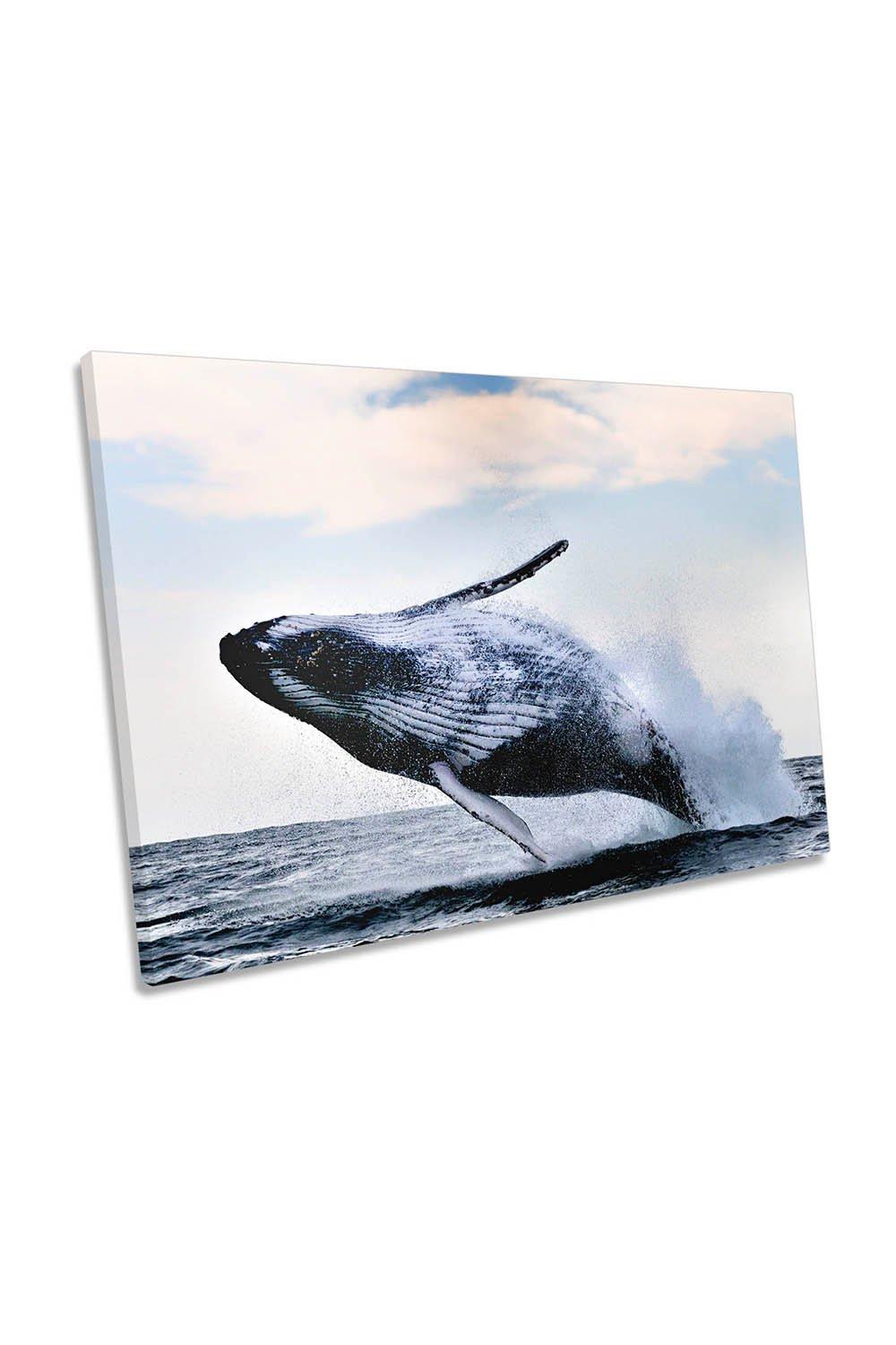 The Breach Humpback Whale Canvas Wall Art Picture Print