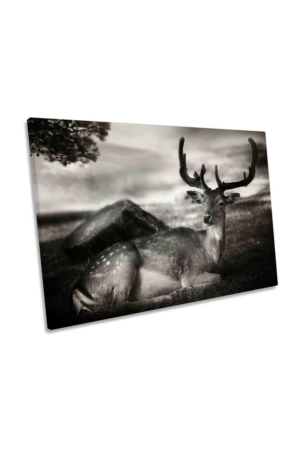 Resting Bambi Deer Wildlife Canvas Wall Art Picture Print
