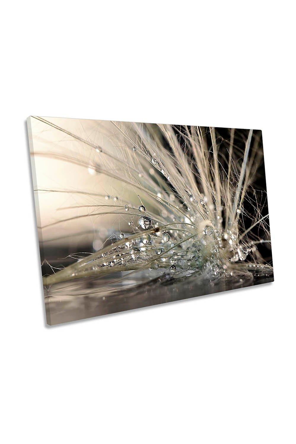 Pearl Drops Feather Floral Canvas Wall Art Picture Print