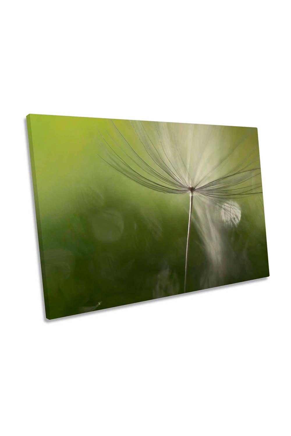 Shadows in the Green Floral Canvas Wall Art Picture Print
