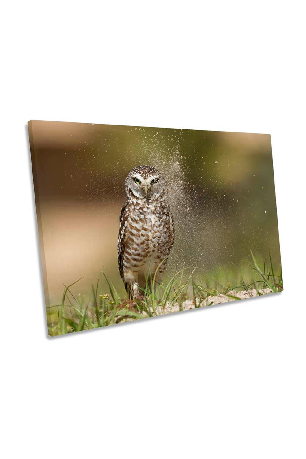 Last Light at the Nest Owl Wildlife Canvas Wall Art Picture Print