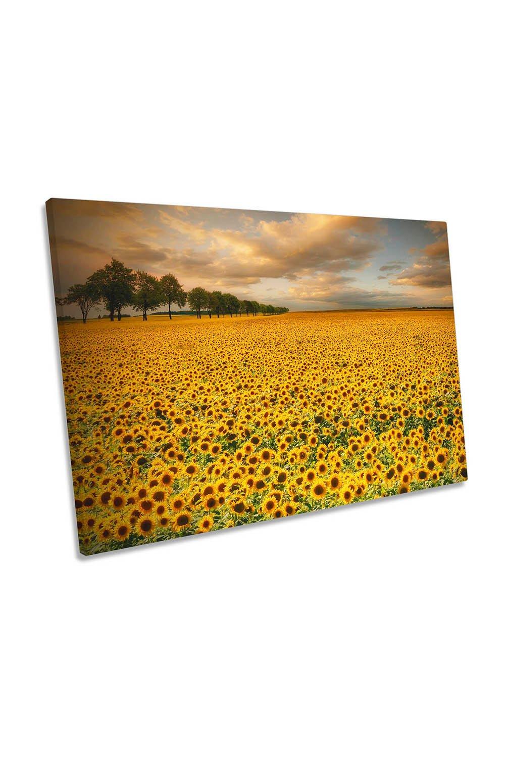 Sunflower Field Floral Flowers Canvas Wall Art Picture Print