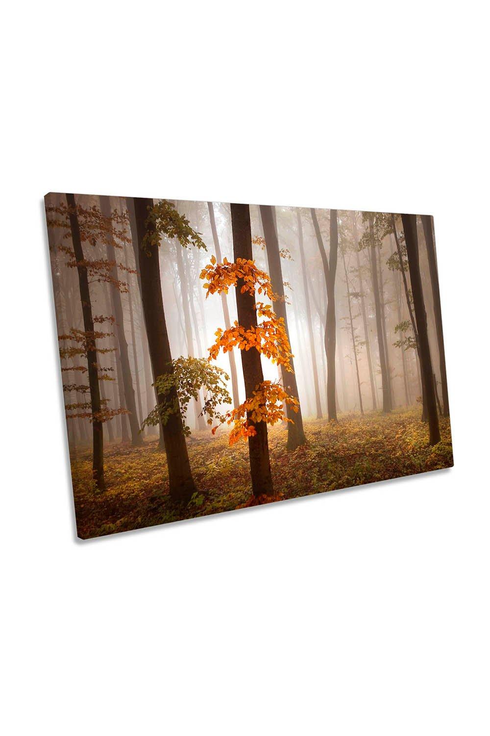 November Light Forest Orange Canvas Wall Art Picture Print