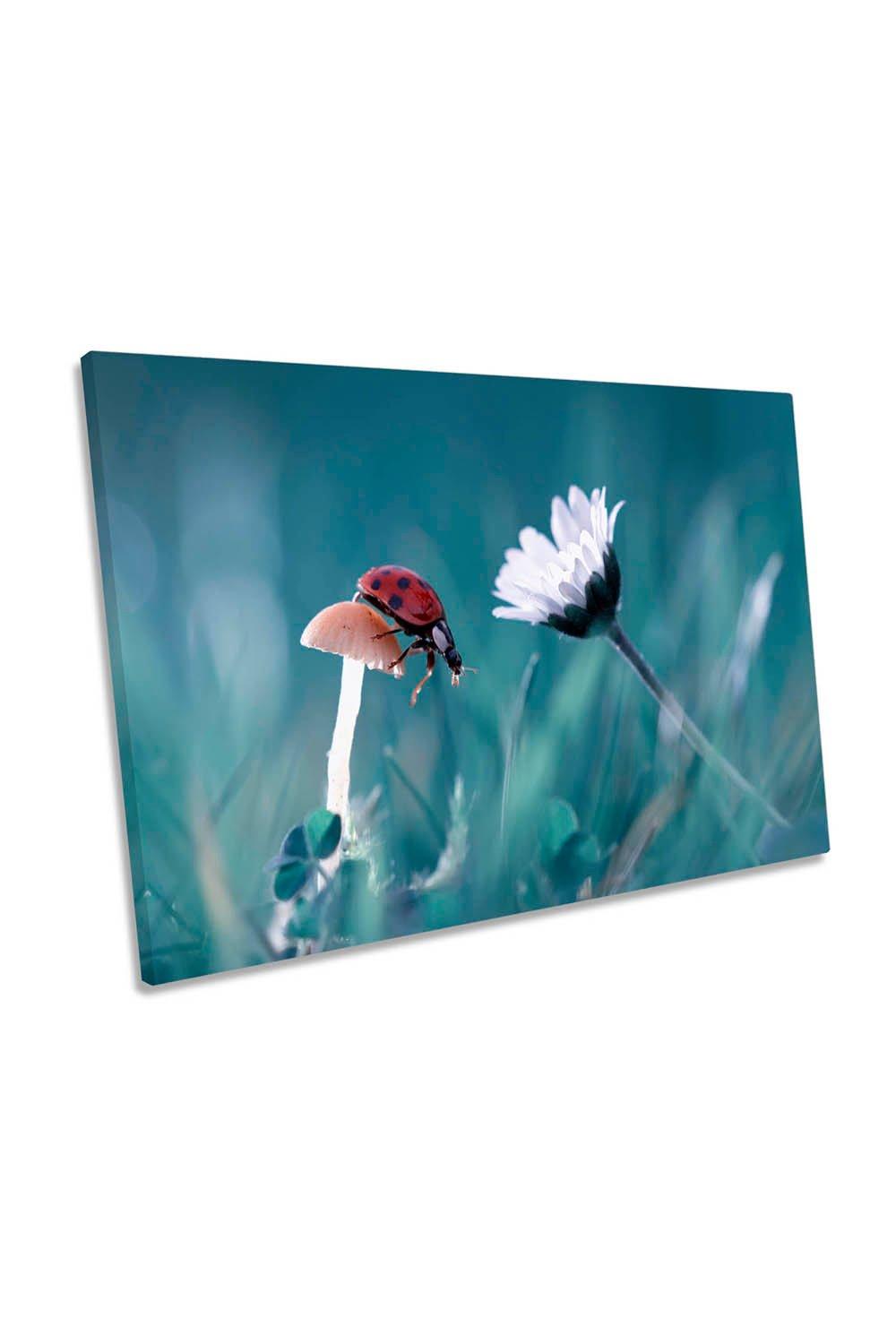 Ladybird Floral Flower Turquoise Canvas Wall Art Picture Print