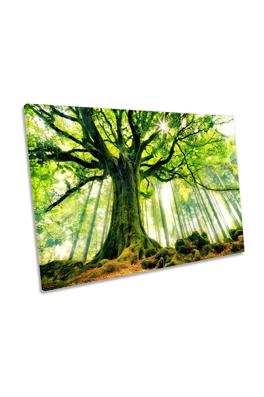 Ponthus Beech Tree Forest Green Canvas Wall Art Picture Print
