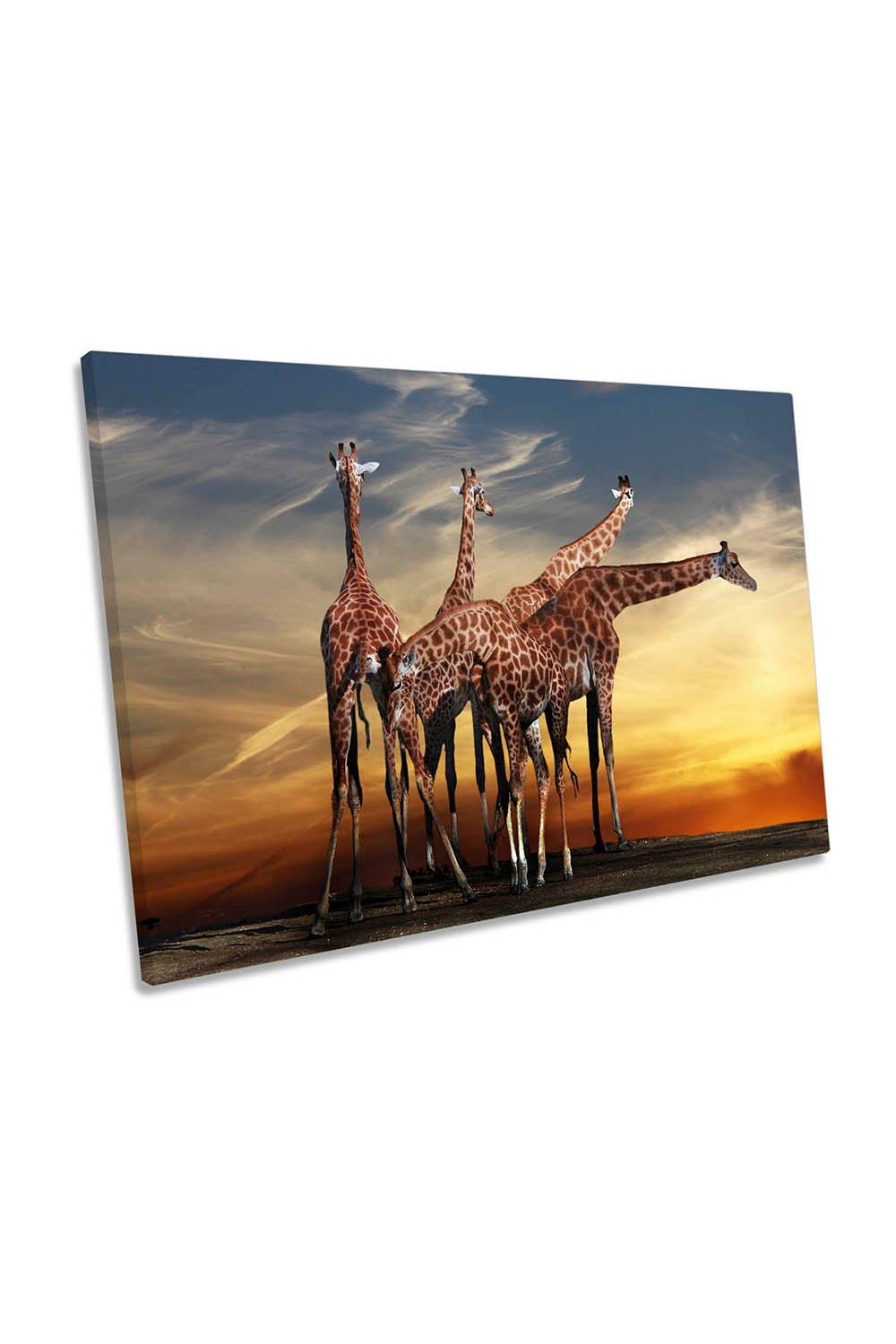 Giraffes Meeting Sunset Africa Canvas Wall Art Picture Print
