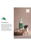 Dr. Botanicals Rejuvenating Eucalyptus Essential Oil For Diffuser 10ml thumbnail 2