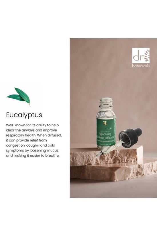 Dr. Botanicals Rejuvenating Eucalyptus Essential Oil For Diffuser 10ml 2