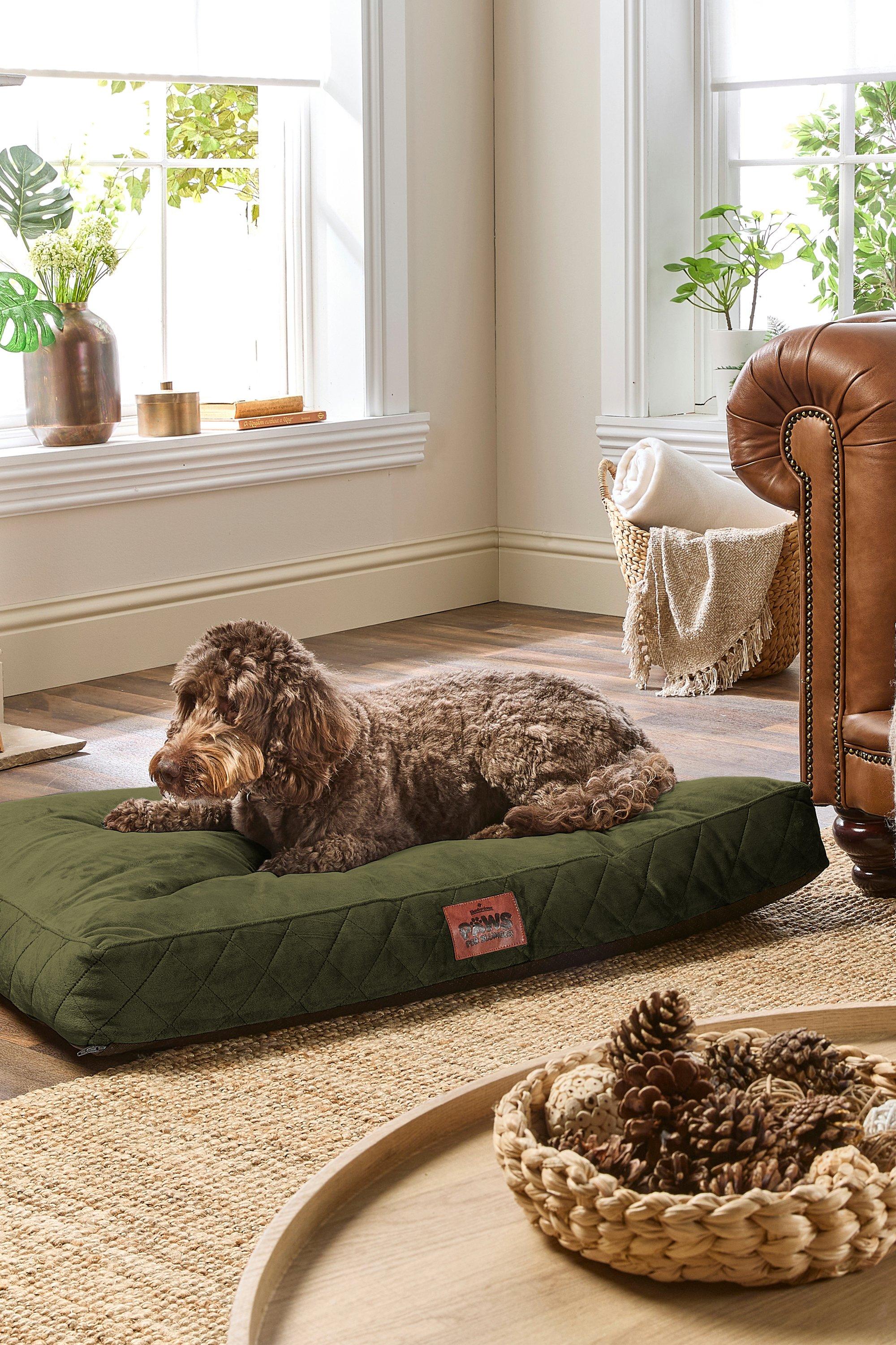 Paws for Slumber Luxurious Large Pet Bed