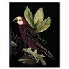 Artery8 Wall Art Print Burgundy Parrot Leaves Tree Branch on Black Vintage Linocut Art Framed thumbnail 1