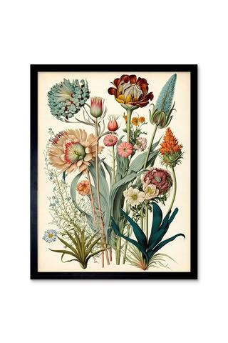 Product Wall Art Print Ernst Haeckel Inspired Vintage Botanical Plant Study Modern Watercolour Painting Art Framed Black