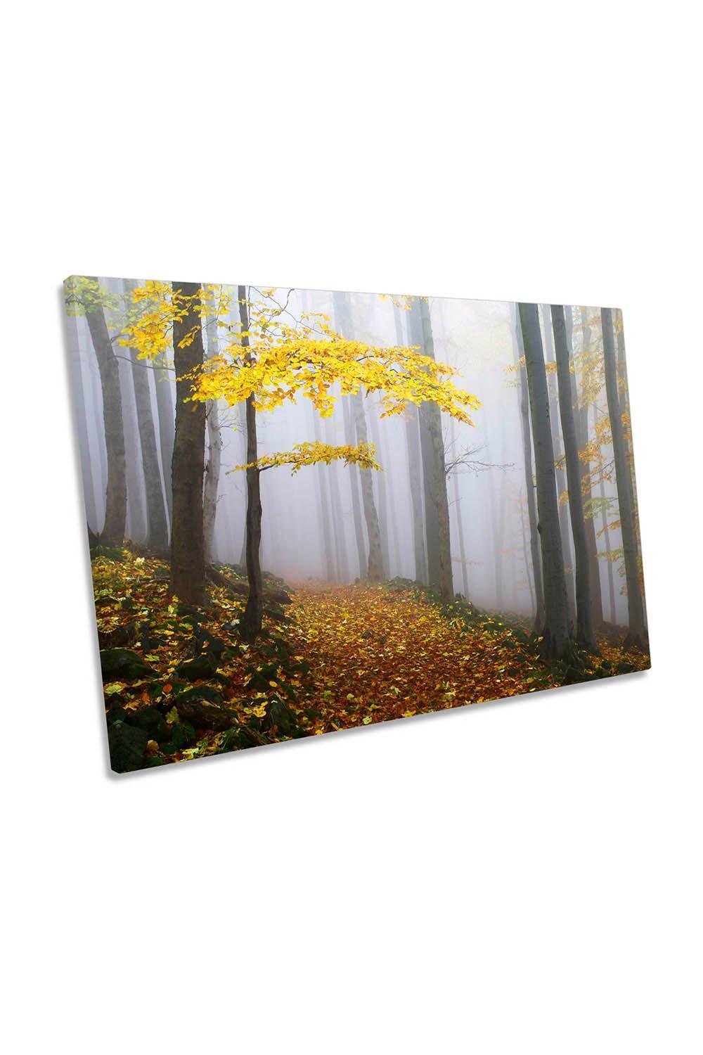 Autumn Forest Misty Woodland Canvas Wall Art Picture Print