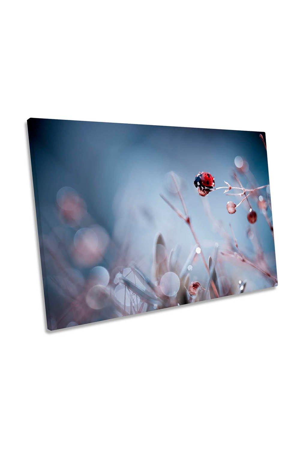 High Diving Ladybird Flowers Floral Canvas Wall Art Picture Print