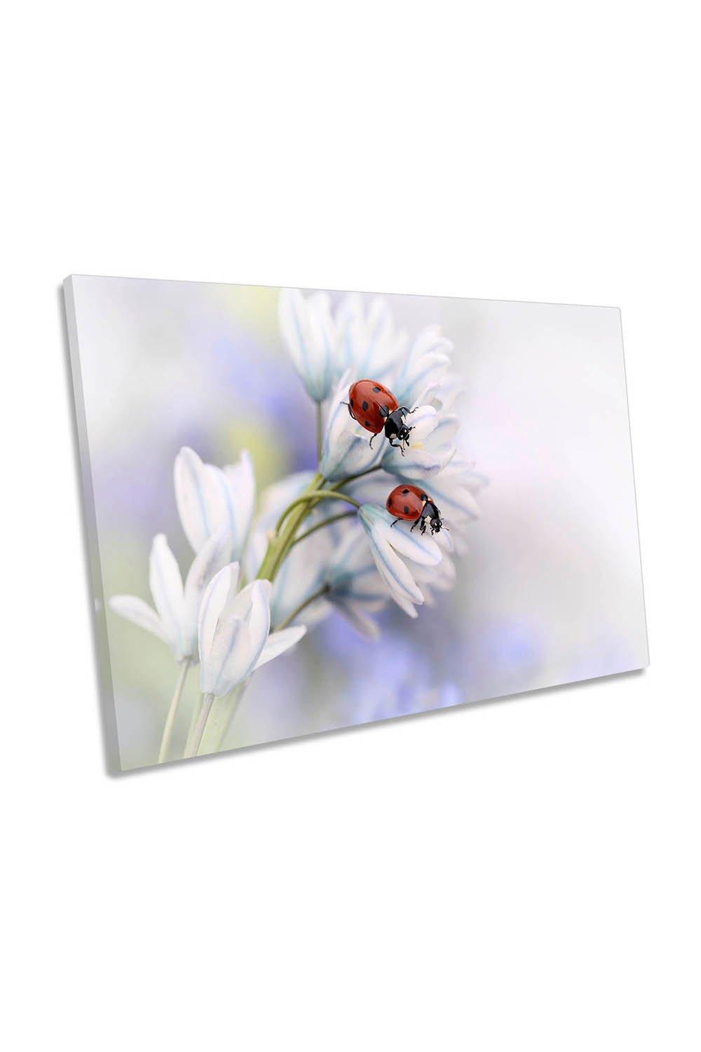 Ladybirds Flower Floral Soft White Canvas Wall Art Picture Print