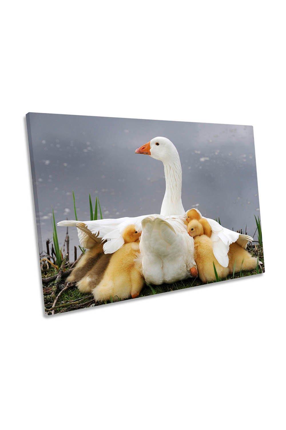 Mum's Protection Duck Ducklings Cute Canvas Wall Art Picture Print