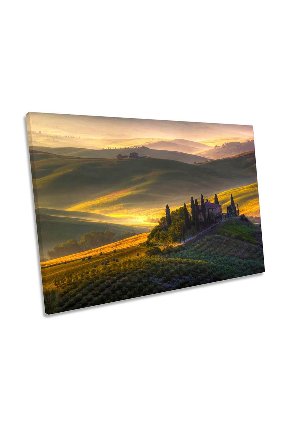 Of Green and Gold Tuscany Morning Canvas Wall Art Picture Print