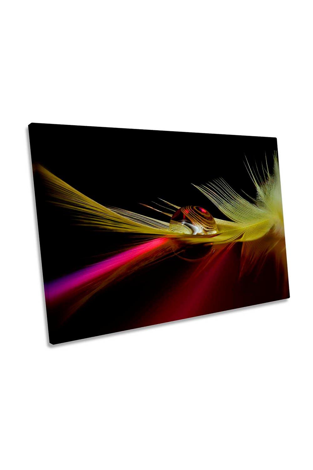 Colours in the Feather Droplet Canvas Wall Art Picture Print