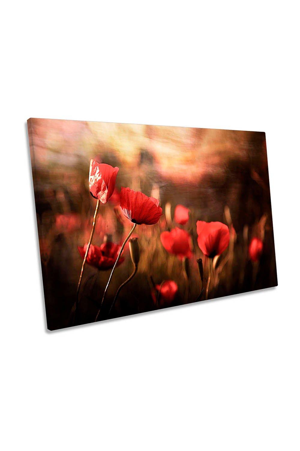 Morning Air Red Poppy Flowers Floral Canvas Wall Art Picture Print