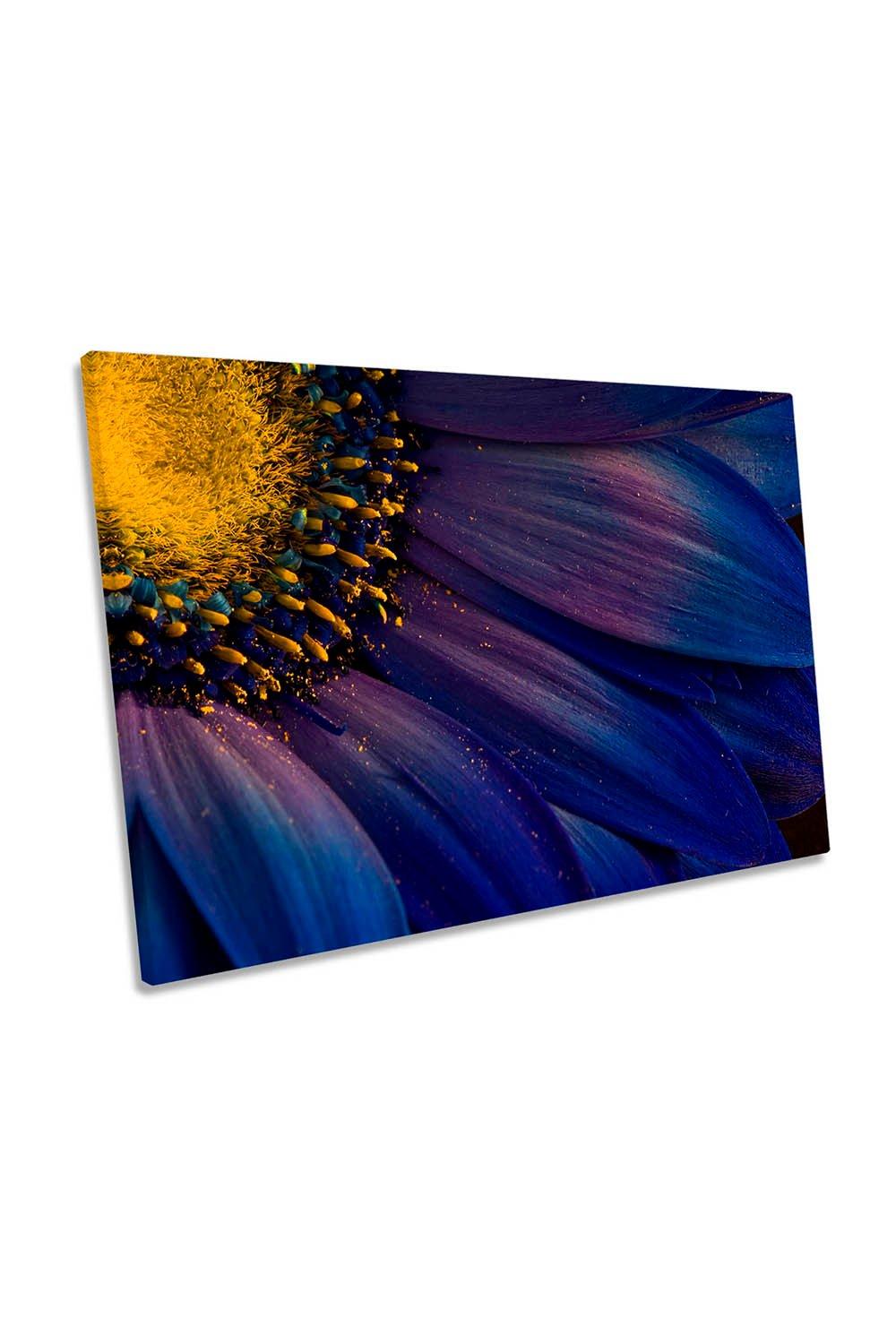 Blue Rays Flower Petal Floral Canvas Wall Art Picture Print