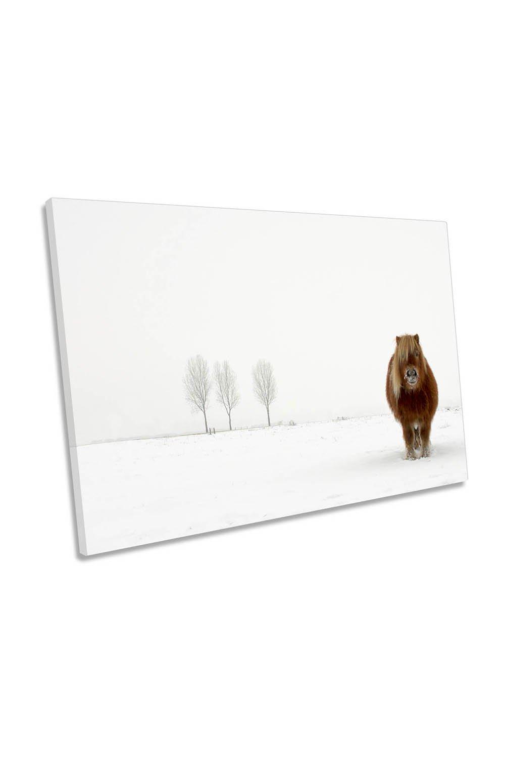 The Cold Pony Winter Canvas Wall Art Picture Print