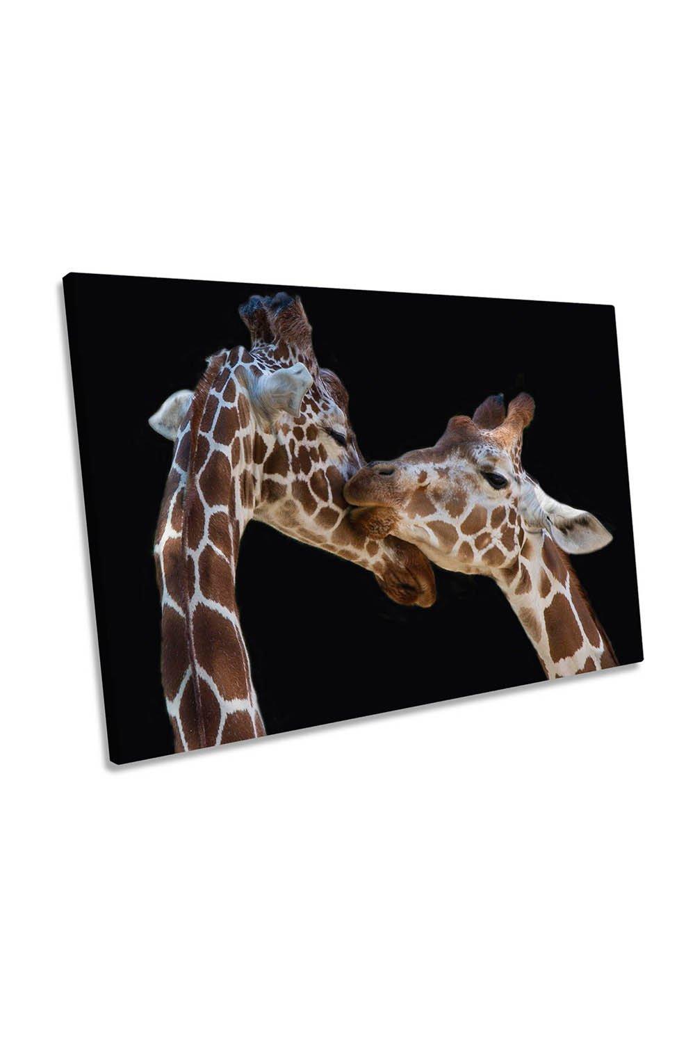 The Giraffe Kiss Love Canvas Wall Art Picture Print