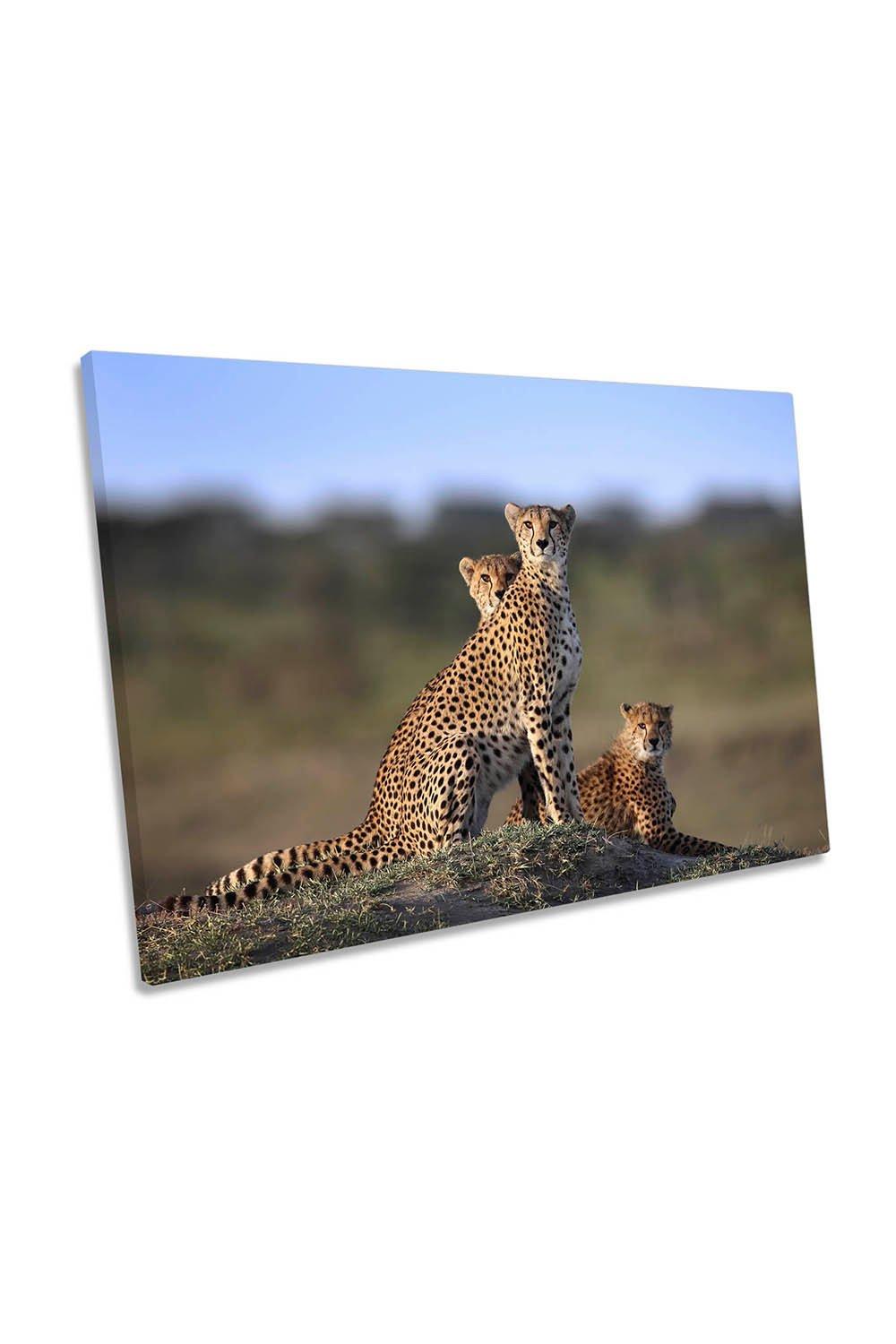 Cheetah Family Wildlife Canvas Wall Art Picture Print
