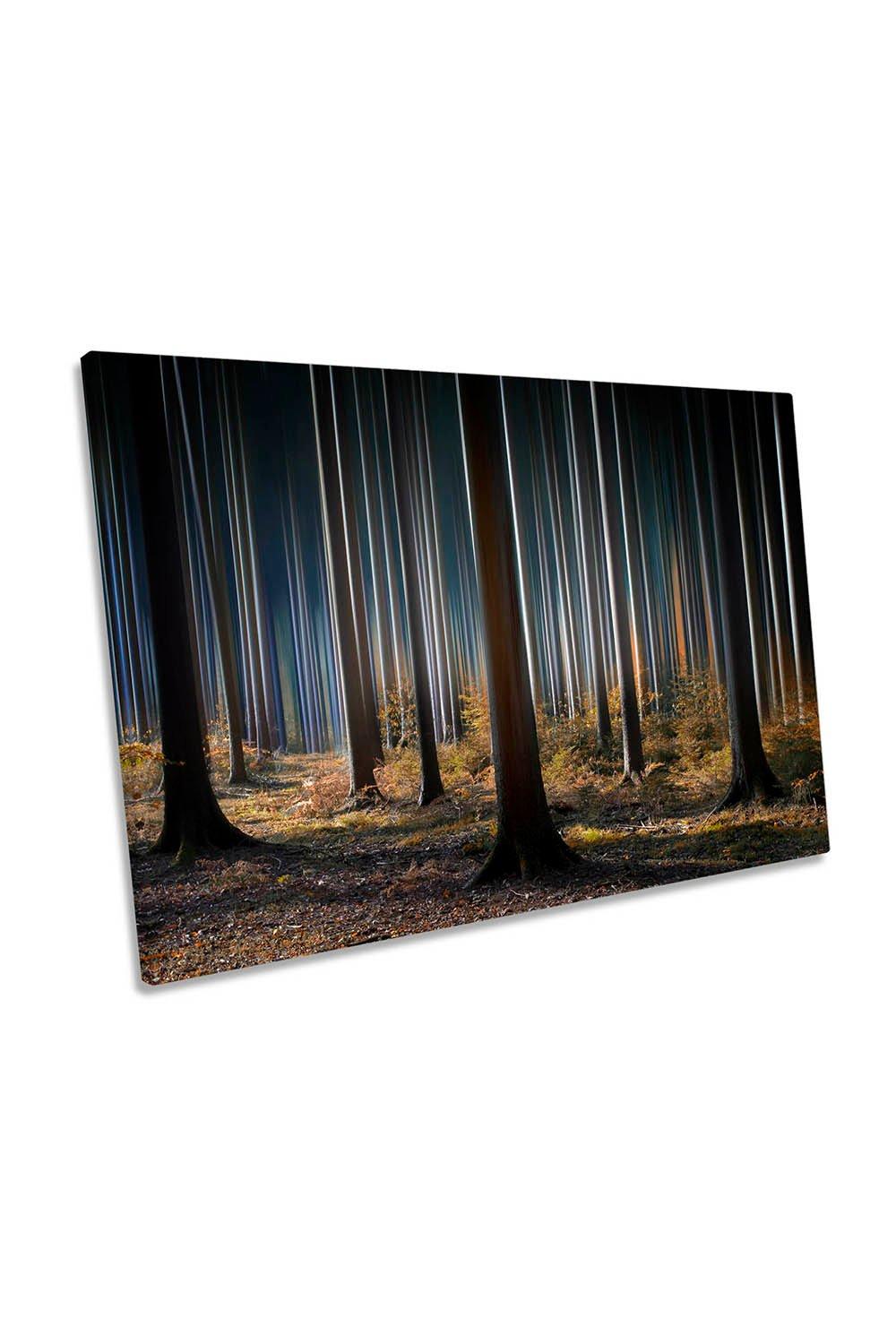 Mystic Wood Forest Night Canvas Wall Art Picture Print
