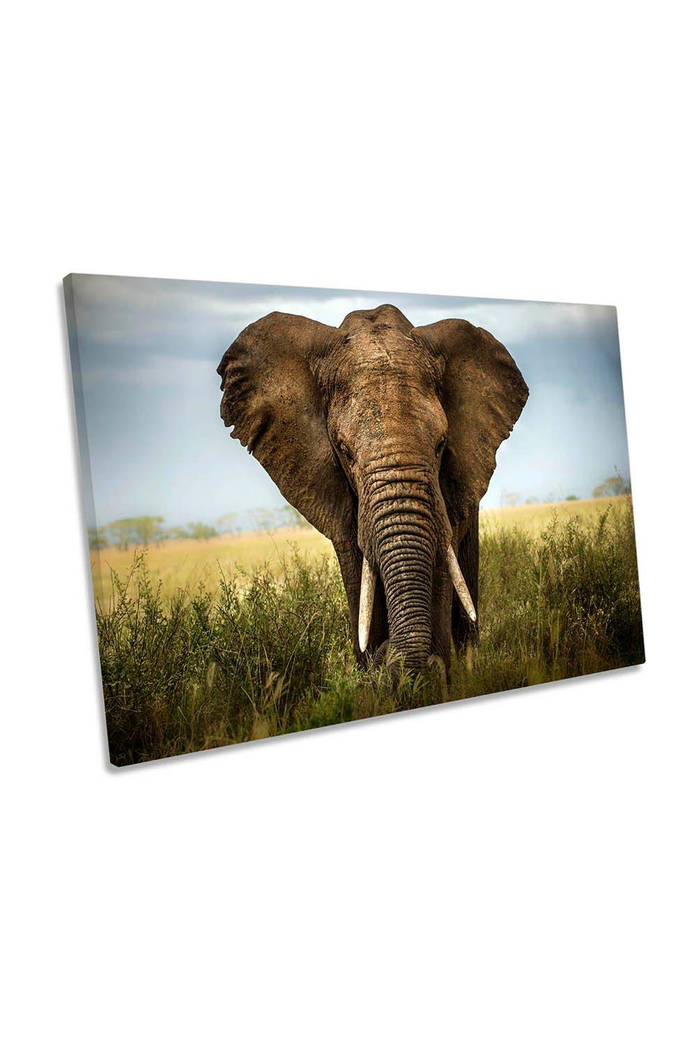 Elephant Encounter Wildlife Canvas Wall Art Picture Print