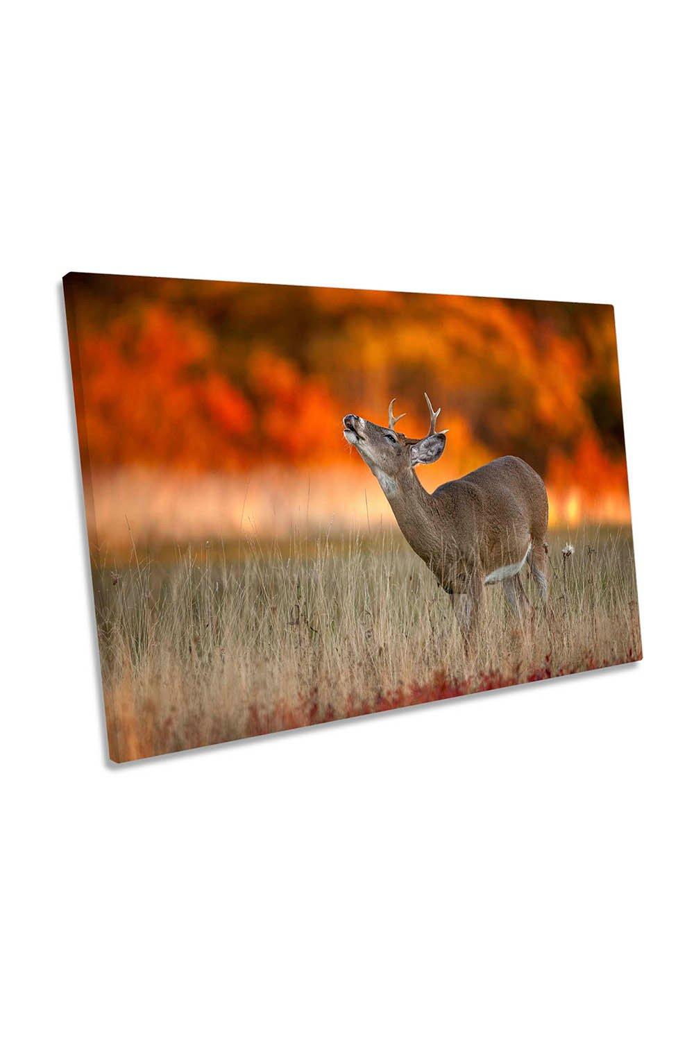 Autumn Fire Deer Stag Orange Canvas Wall Art Picture Print