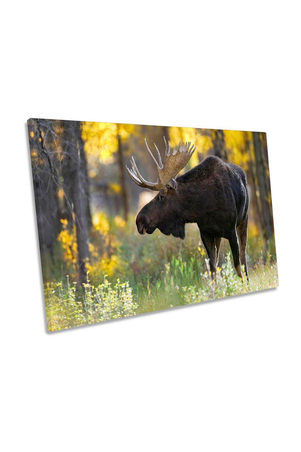 Royalty Moose Antlers Canvas Wall Art Picture Print