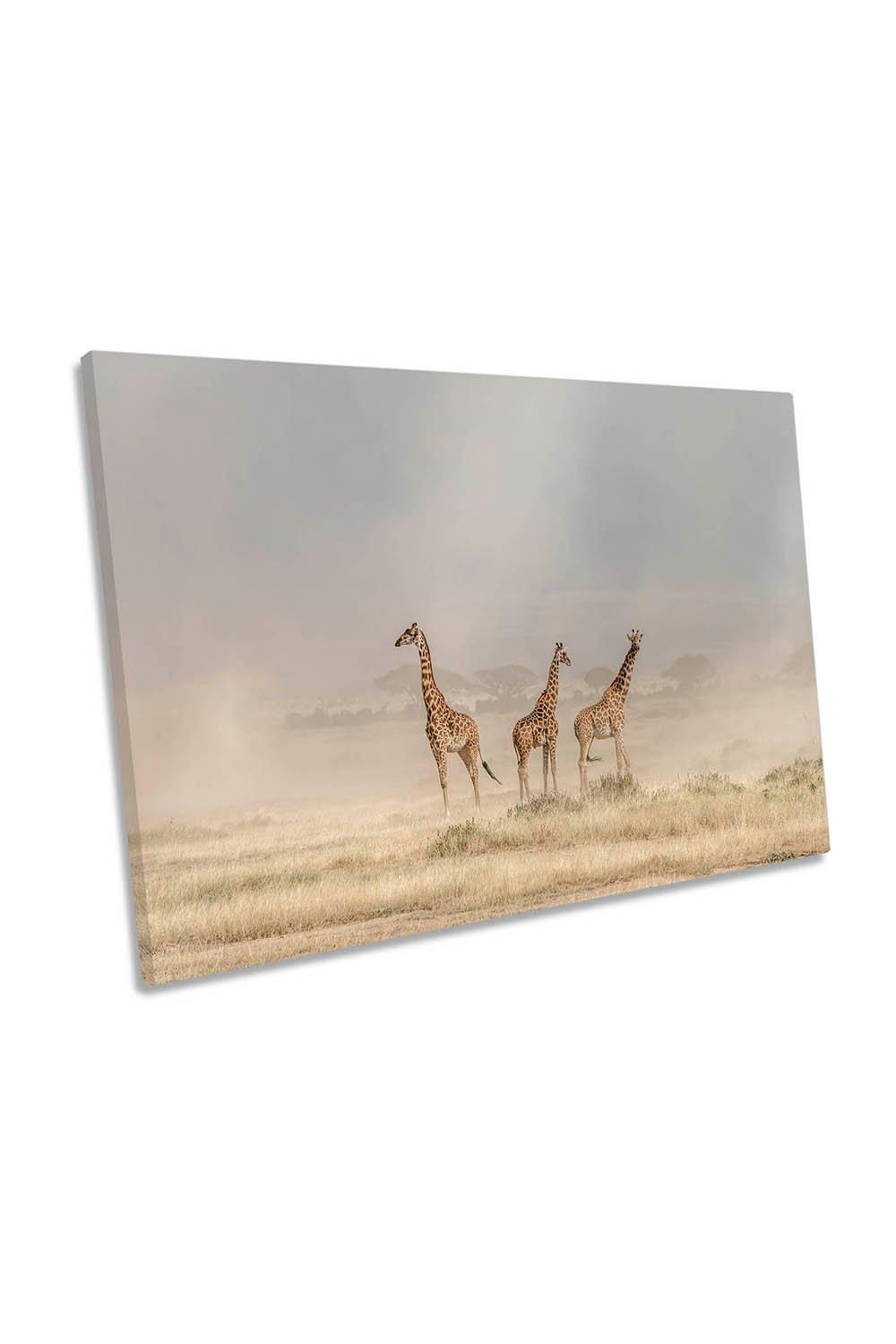 Weathering the Dust Giraffes Canvas Wall Art Picture Print
