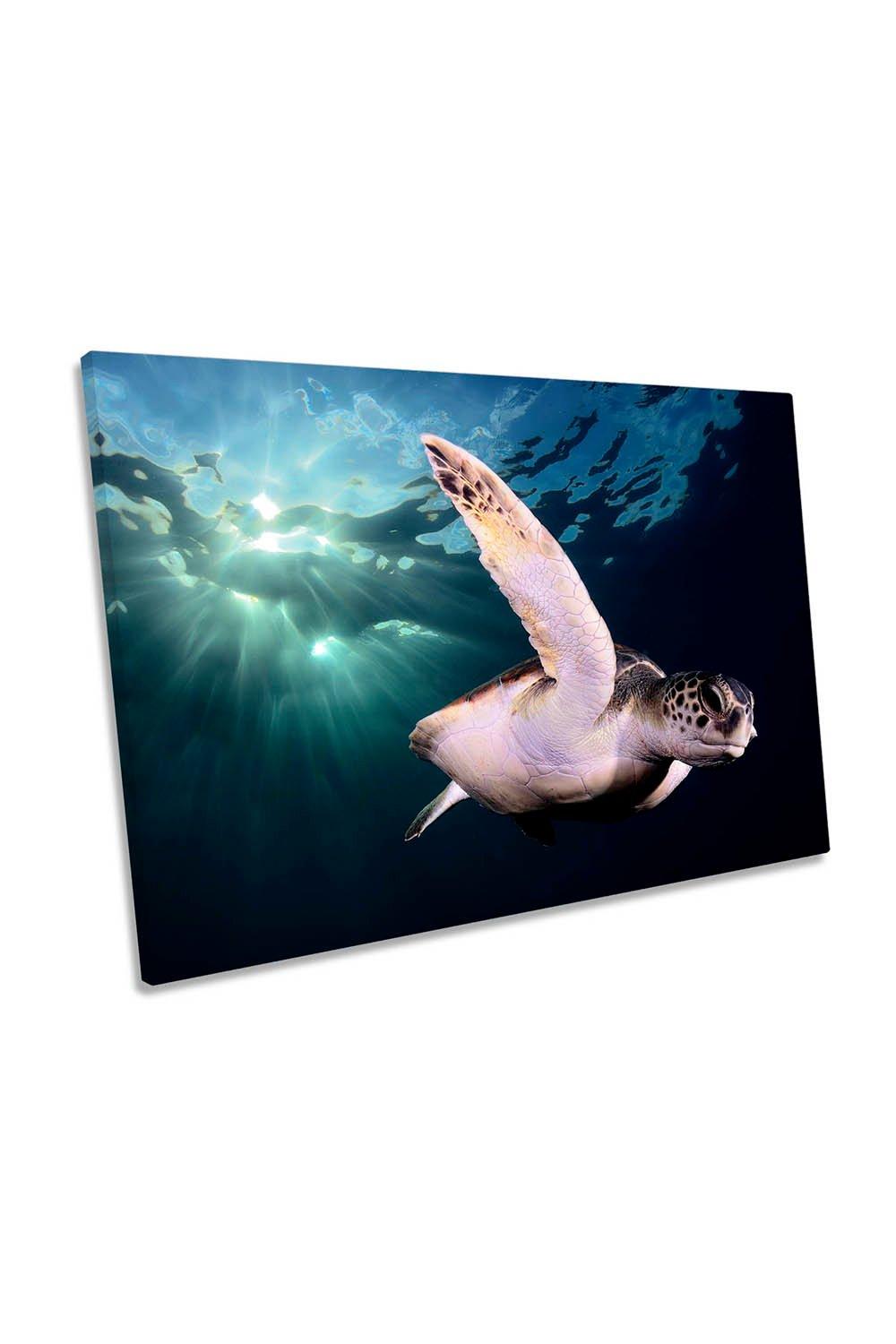 Underwater Turtle Tropical Canvas Wall Art Picture Print