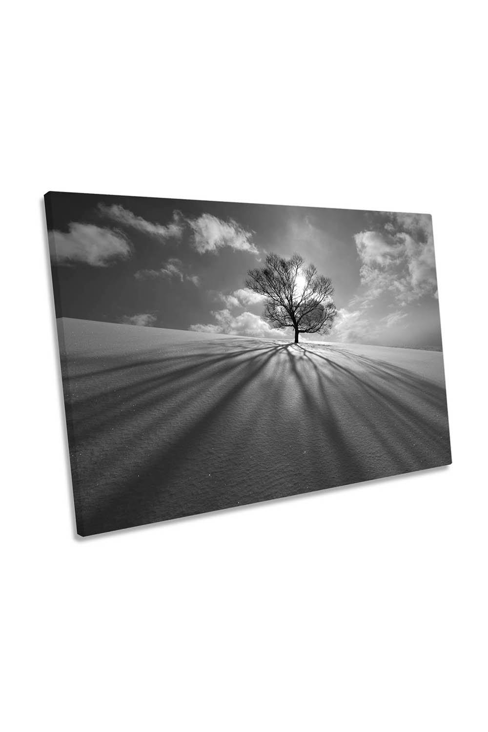 Tree Shadow Winter Snow Canvas Wall Art Picture Print