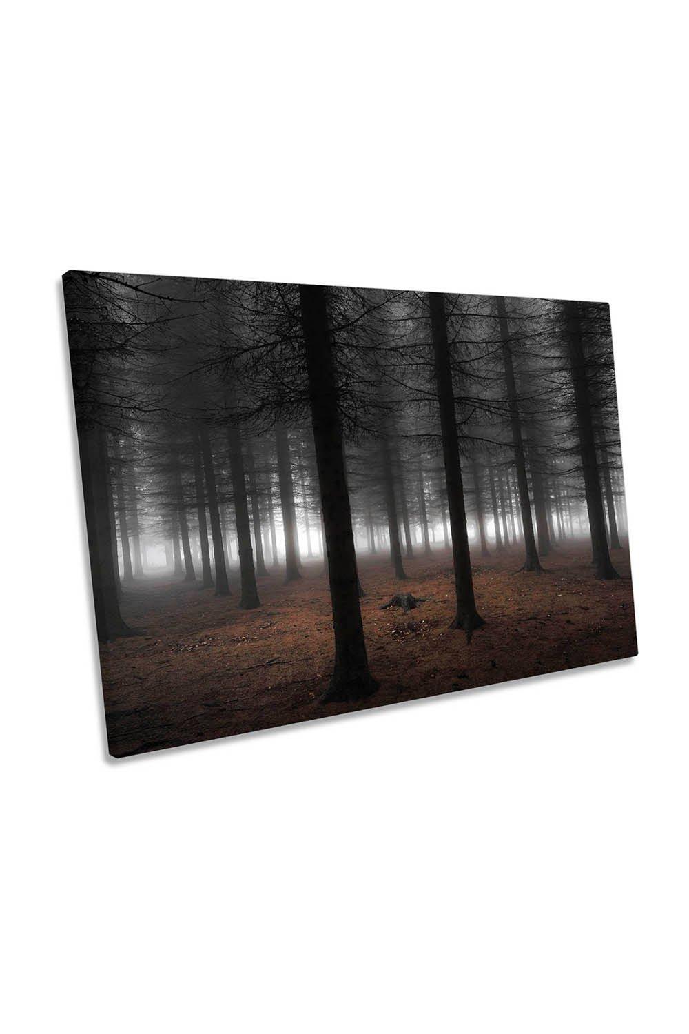 Silence Forest Moody Landscape Canvas Wall Art Picture Print