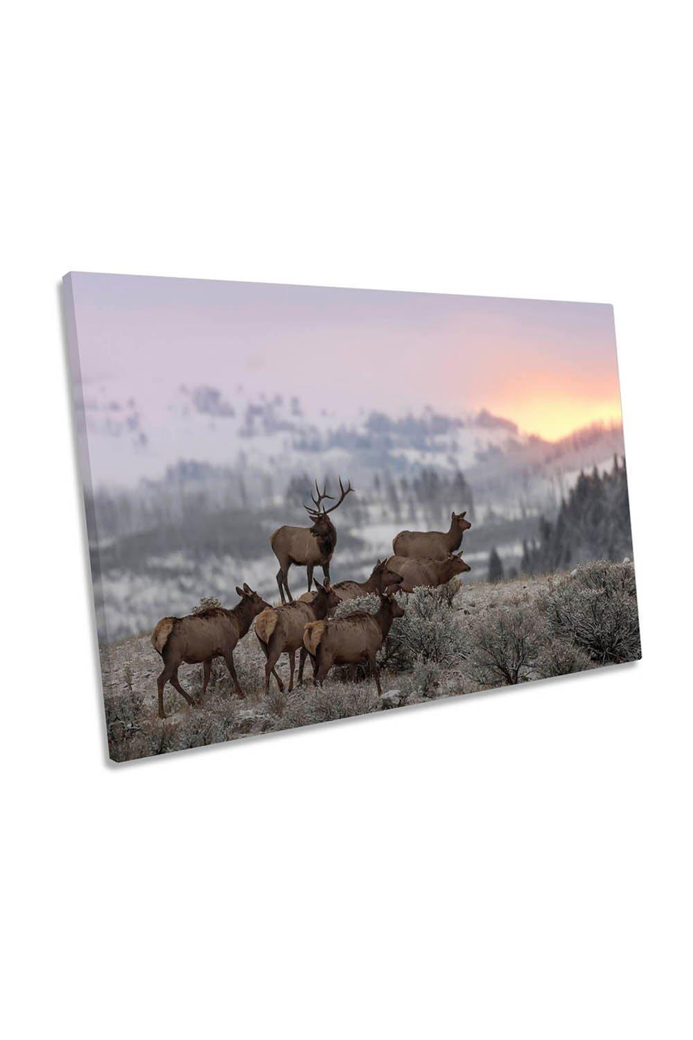 First Light Reindeer Wildlife Canvas Wall Art Picture Print