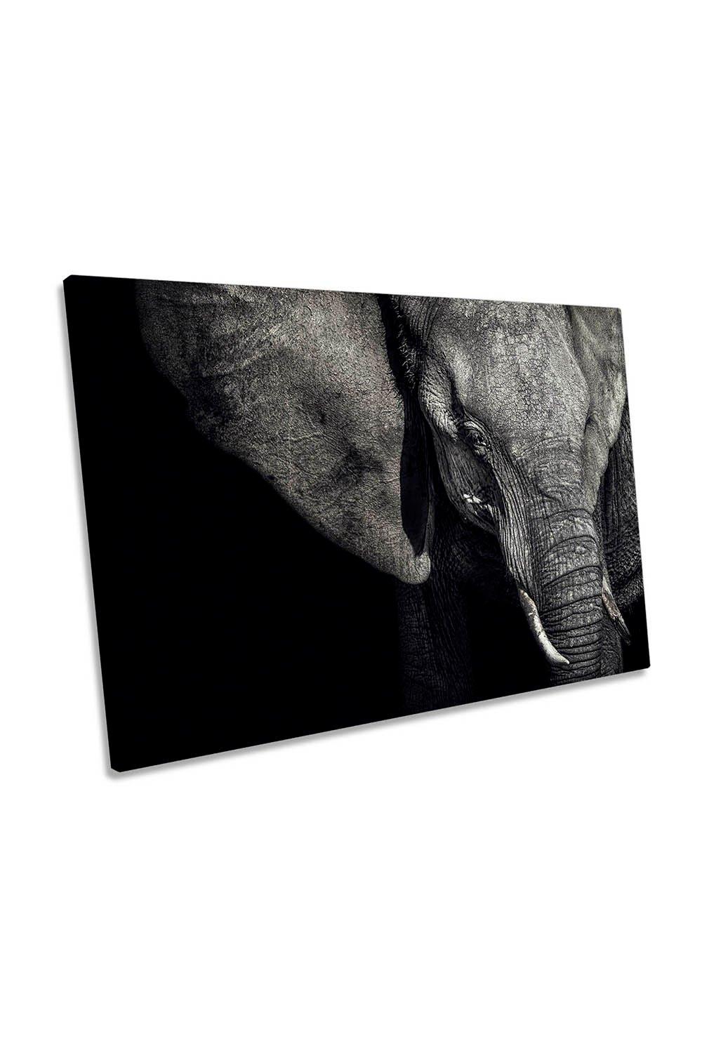The Matriarch Elephant Canvas Wall Art Picture Print