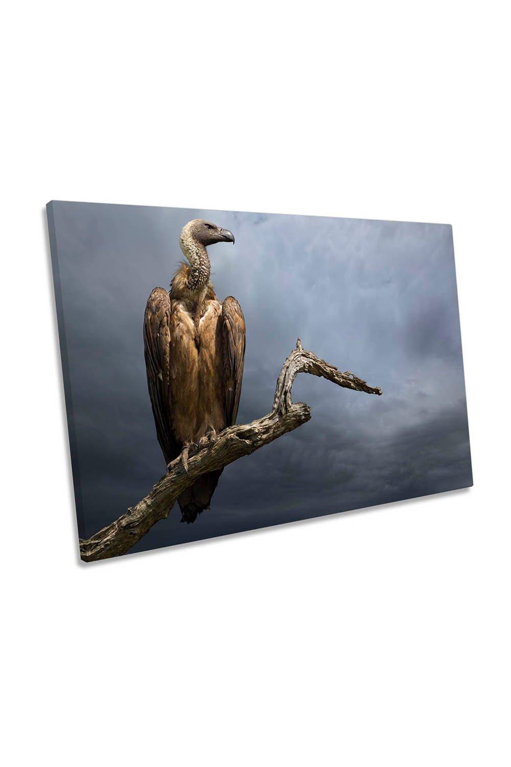 The Vulture Bird Canvas Wall Art Picture Print