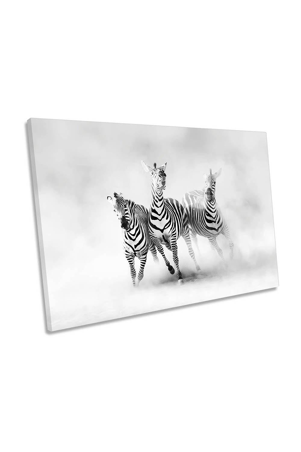 Zebras Dust Wildlife Canvas Wall Art Picture Print