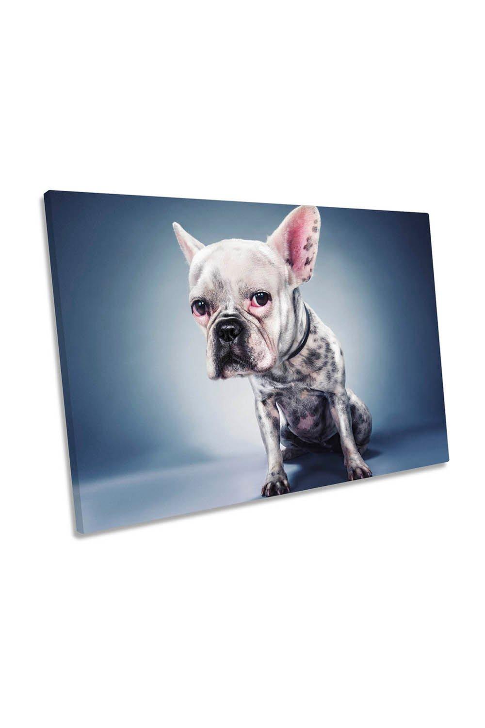French Bulldog Big Ears Canvas Wall Art Picture Print