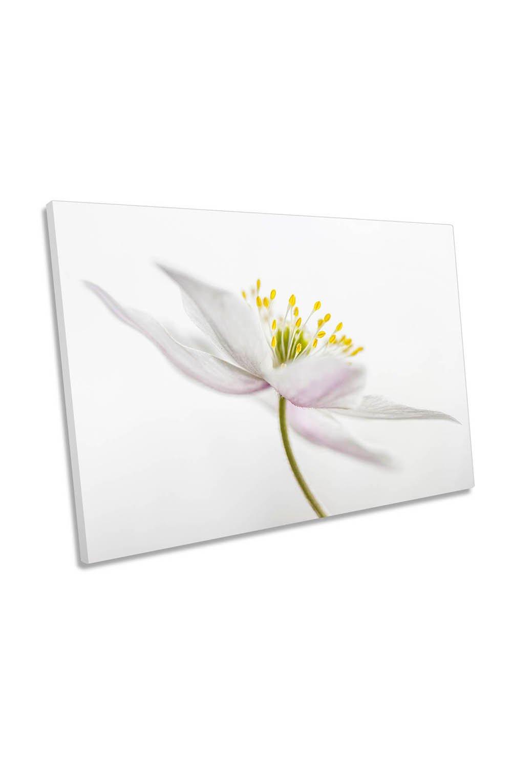 Nemorosa Flower Floral White Canvas Wall Art Picture Print