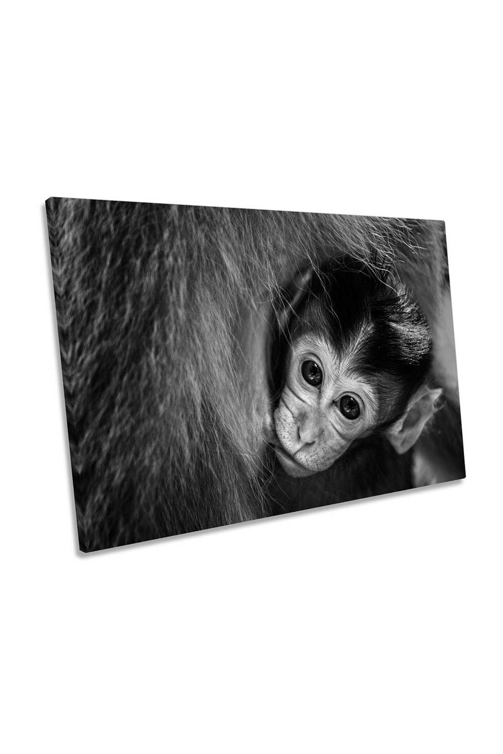 A Mother's Love Monkey Canvas Wall Art Picture Print
