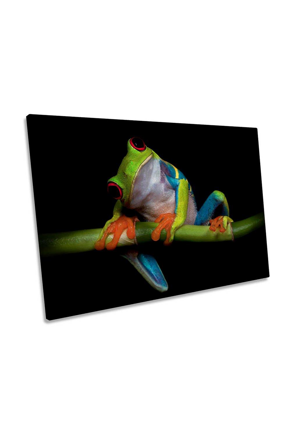 Curiosity Cute Frog Canvas Wall Art Picture Print